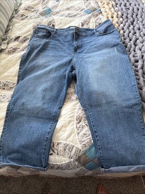 Classic Women's Blue Denim Jeans Lane Bryant Size 18